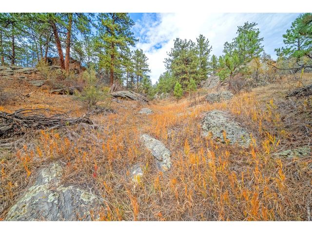 329 Snow Top Dr, Drake, CO 80515