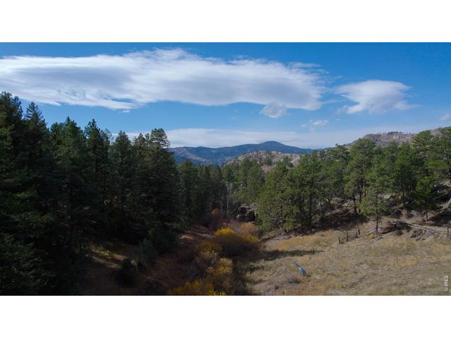 329 Snow Top Dr, Drake, CO 80515