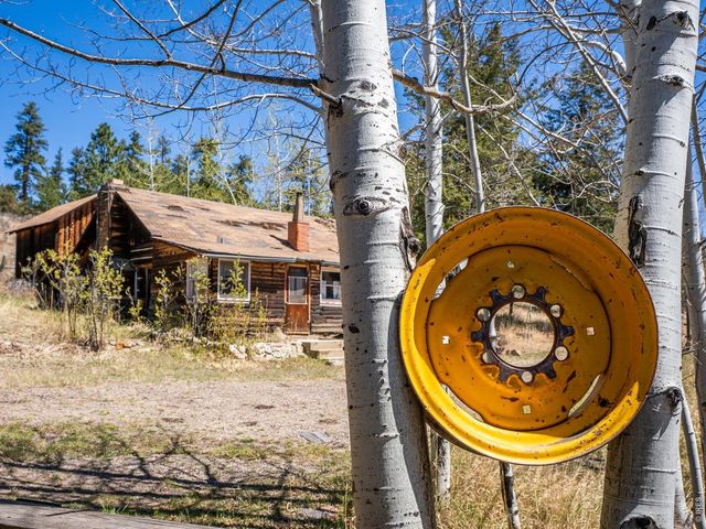 329 Snow Top Dr, Drake, CO 80515