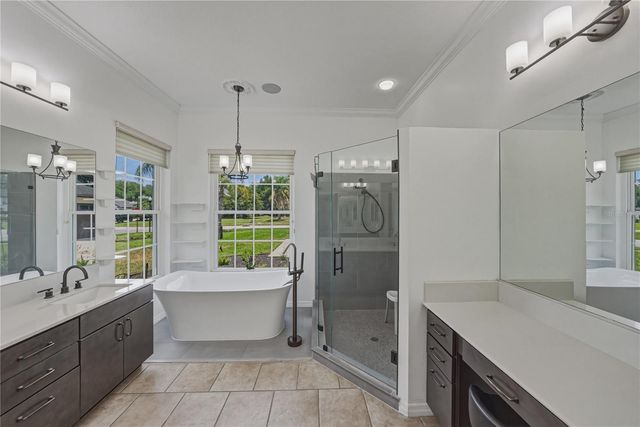 6105 AUDUBON MANOR BOULEVARD, Lithia, FL 33547