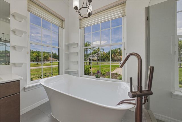 6105 AUDUBON MANOR BOULEVARD, Lithia, FL 33547