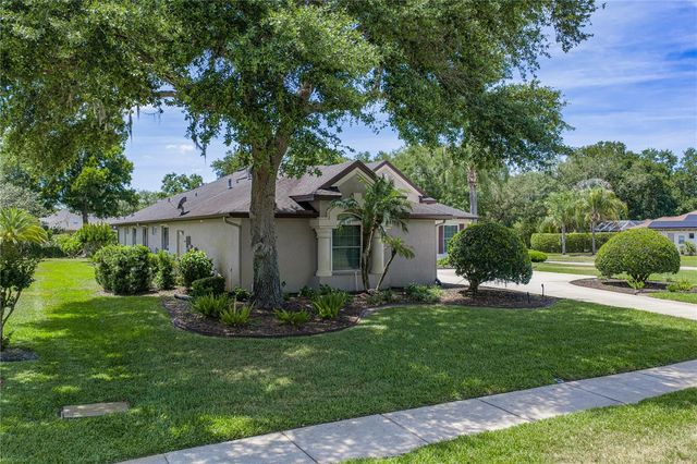 6105 AUDUBON MANOR BOULEVARD, Lithia, FL 33547