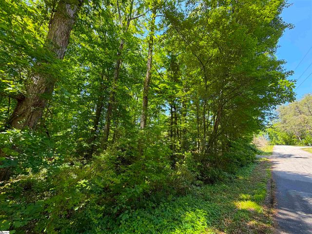 165 Tabor Street, Central, SC 29630