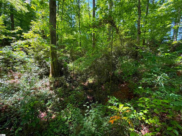 165 Tabor Street, Central, SC 29630