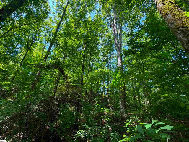 165 Tabor Street, Central, SC 29630