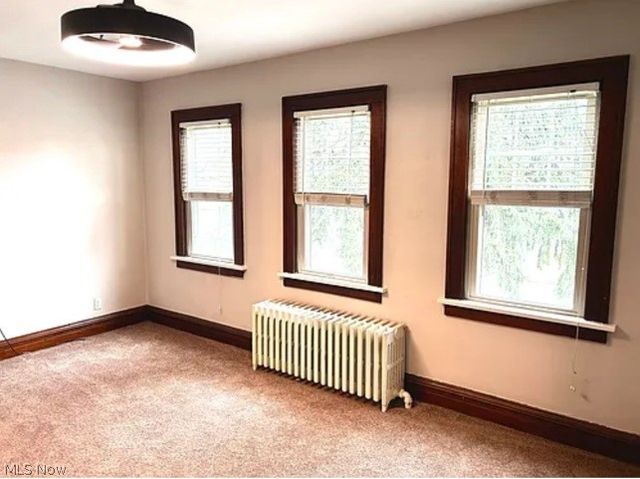 1715 Edgefield Road, Lyndhurst, OH 44124