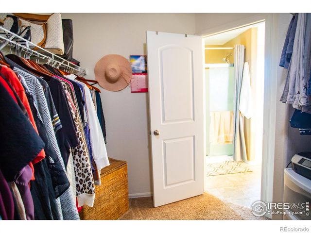 3312 Tupelo Lane, Johnstown, CO 80534