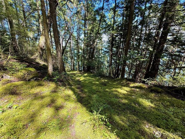 92 Flagpoint Lane, Friday Harbor, WA 98250