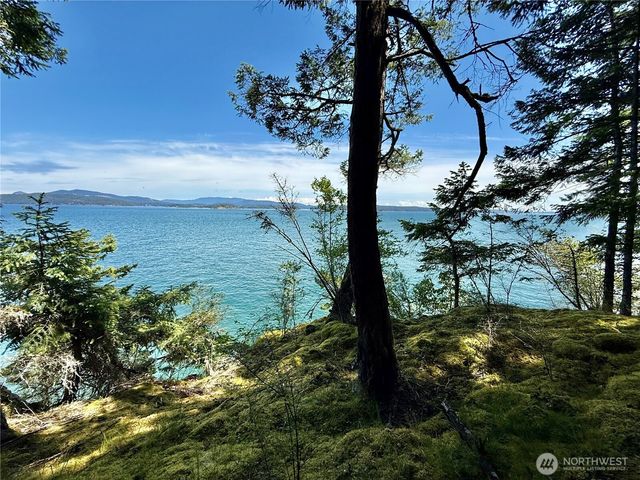 92 Flagpoint Lane, Friday Harbor, WA 98250