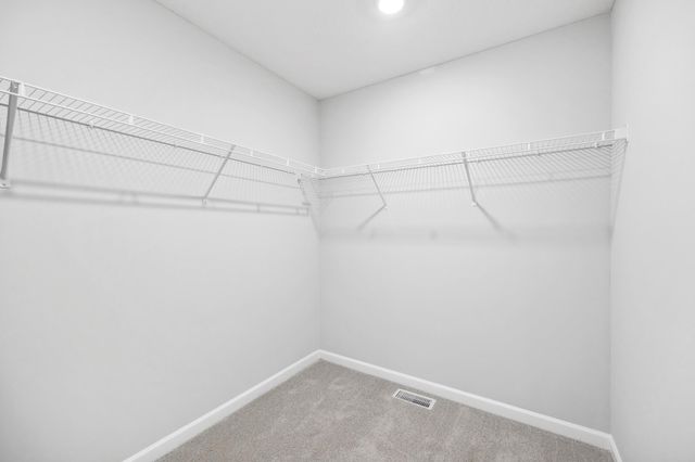 10316 Birchwood Circle, Victoria, MN 55318