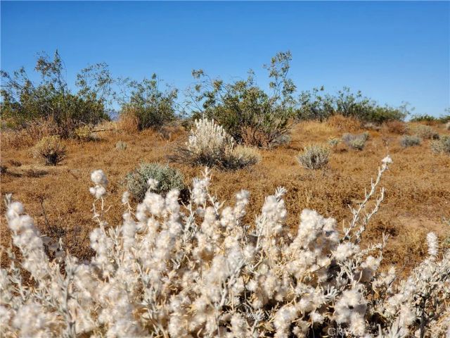 2 Ave L12, Lake Los Angeles, CA 93535