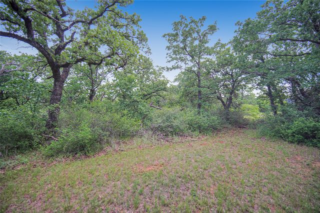 290 Burwick Road, Jacksboro, TX 76458