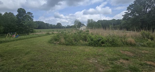 110 Dr Ibrahim Ln, Summertown, TN 38483