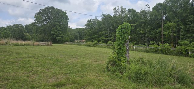 110 Dr Ibrahim Ln, Summertown, TN 38483