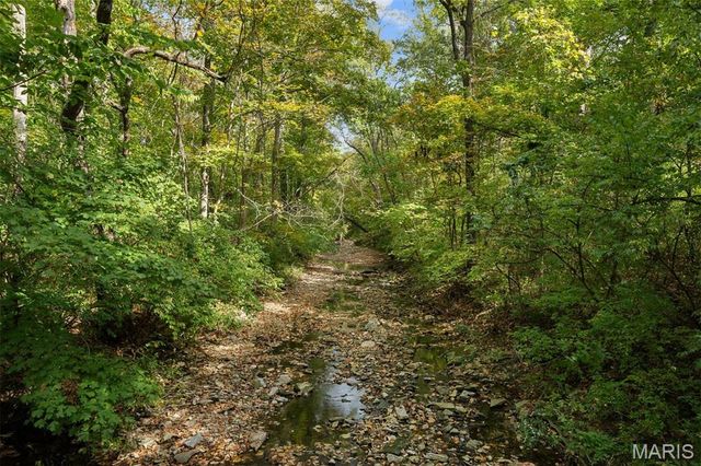 1800 W Adams Avenue, Kirkwood, MO 63122