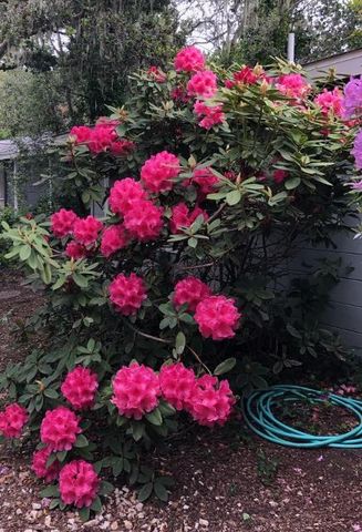 25349 Flanders Drive, Carmel, CA 93923