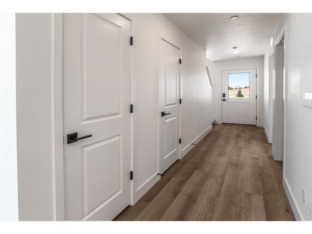 930 Trumpet Ln, Windsor, CO 80550