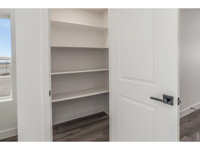 930 Trumpet Ln, Windsor, CO 80550