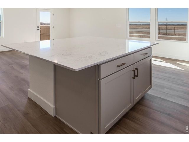 930 Trumpet Ln, Windsor, CO 80550
