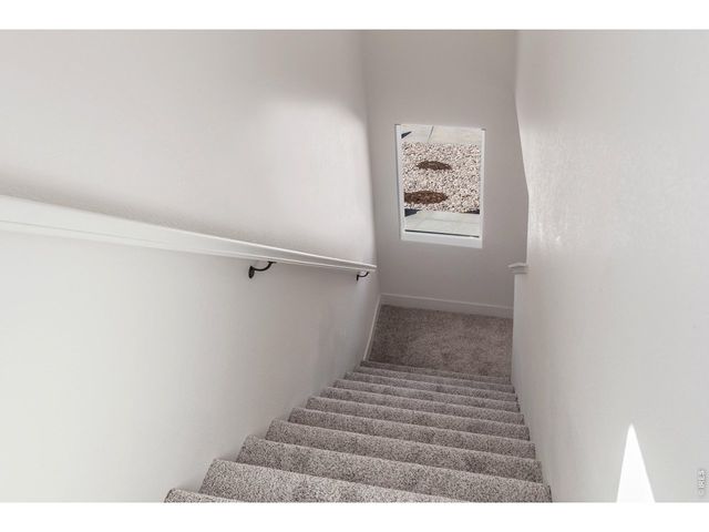 930 Trumpet Ln, Windsor, CO 80550