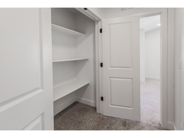 930 Trumpet Ln, Windsor, CO 80550