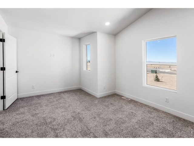 930 Trumpet Ln, Windsor, CO 80550