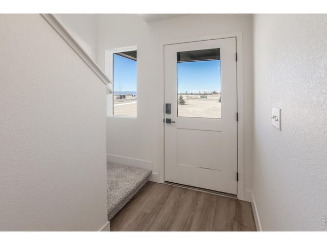 930 Trumpet Ln, Windsor, CO 80550