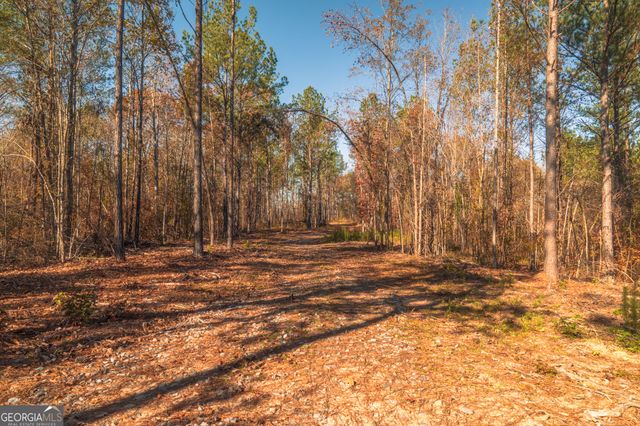 0 Old Dames Ferry Road, Juliette, GA 31046