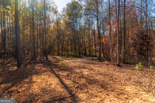0 Old Dames Ferry Road, Juliette, GA 31046