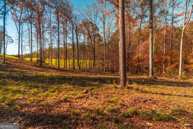0 Old Dames Ferry Road, Juliette, GA 31046