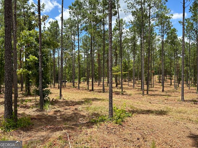 0 Old Dames Ferry Road, Juliette, GA 31046