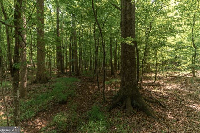 0 Old Dames Ferry Road, Juliette, GA 31046
