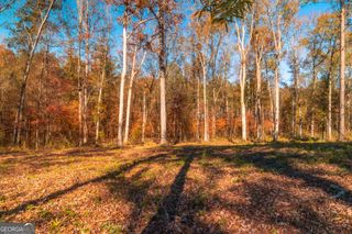0 Old Dames Ferry Road, Juliette, GA 31046