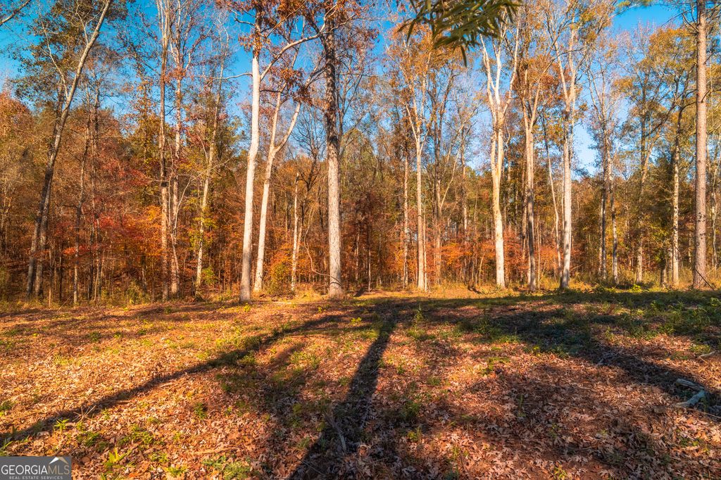 0 Old Dames Ferry Road, Juliette, GA 31046