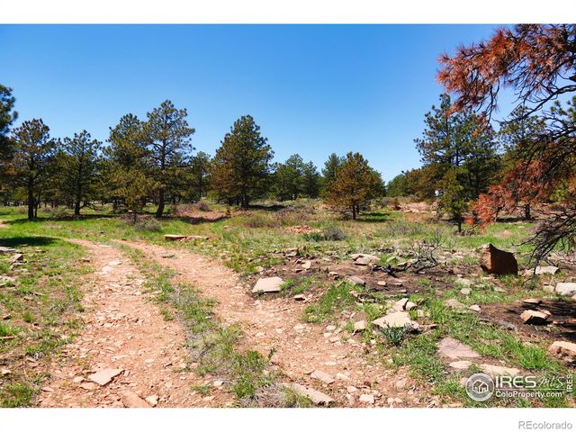 101 Lewis Lane, Lyons, CO 80503