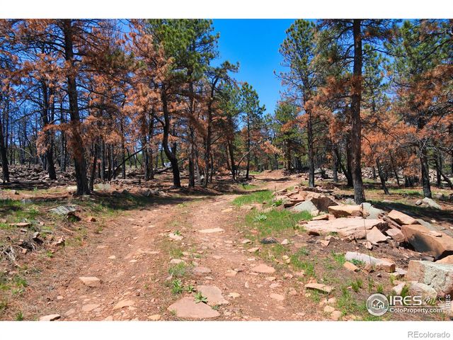 101 Lewis Lane, Lyons, CO 80503