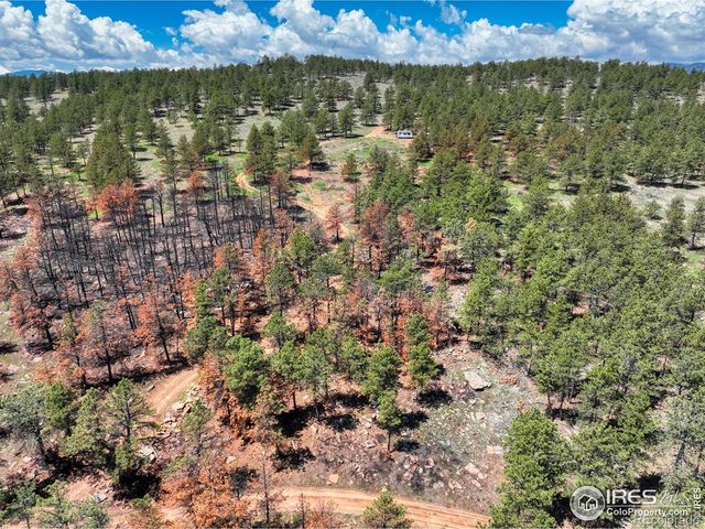 101 Lewis Lane, Lyons, CO 80503