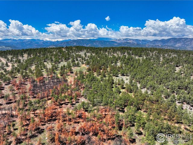 101 Lewis Lane, Lyons, CO 80503