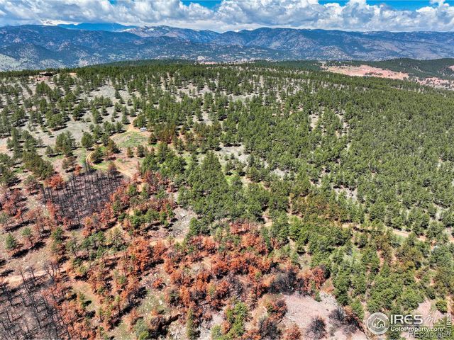101 Lewis Lane, Lyons, CO 80503