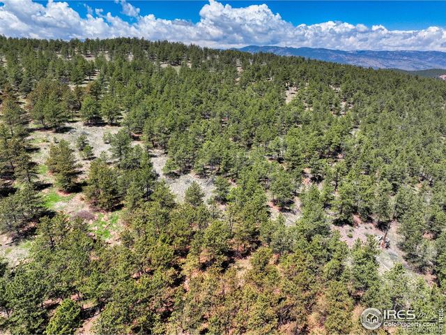 101 Lewis Lane, Lyons, CO 80503