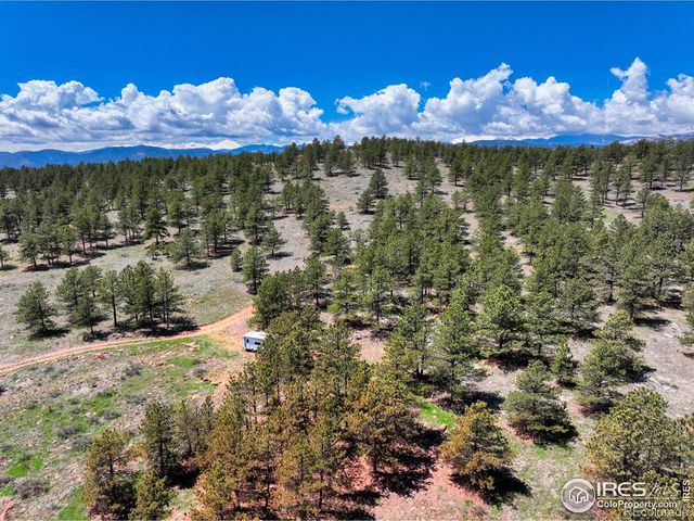 101 Lewis Lane, Lyons, CO 80503