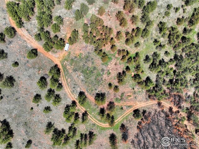 101 Lewis Lane, Lyons, CO 80503