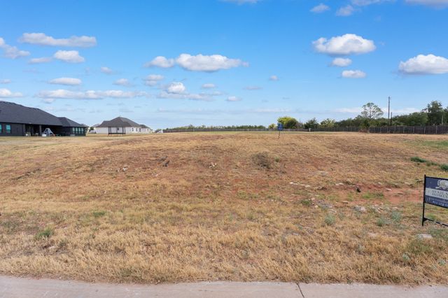2001 Southern Rise Court, Granbury, TX 76049