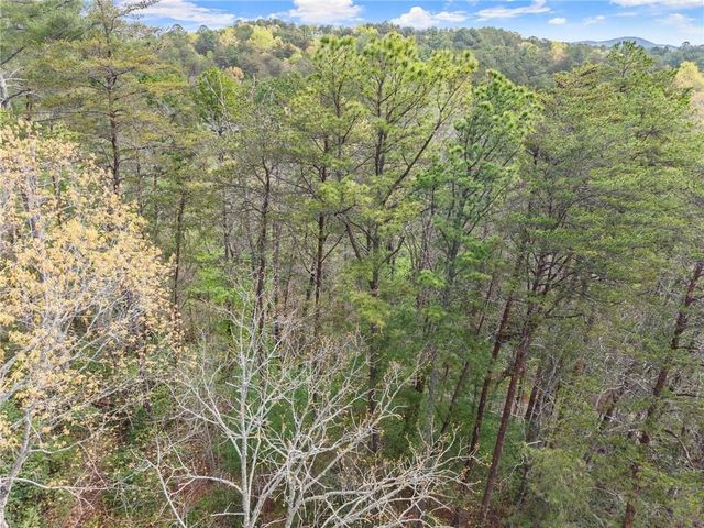 0 S Fern Cove Road, Sautee Nacoochee, GA 30571