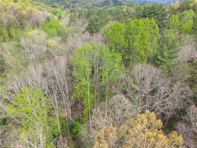 0 S Fern Cove Road, Sautee Nacoochee, GA 30571