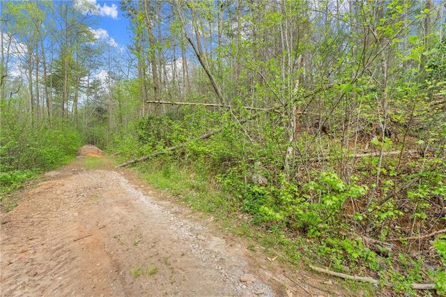 0 S Fern Cove Road, Sautee Nacoochee, GA 30571