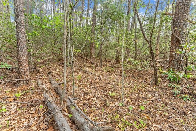 0 S Fern Cove Road, Sautee Nacoochee, GA 30571