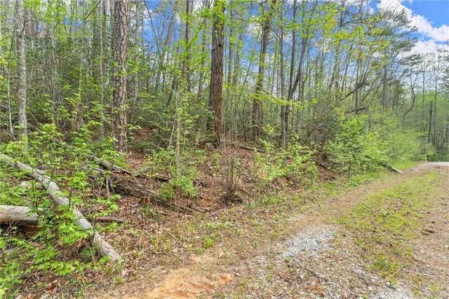 0 S Fern Cove Road, Sautee Nacoochee, GA 30571