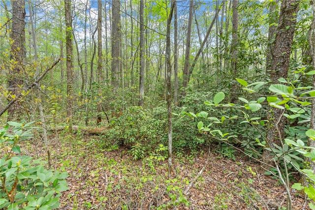 0 S Fern Cove Road, Sautee Nacoochee, GA 30571