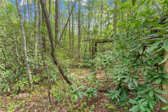 0 S Fern Cove Road, Sautee Nacoochee, GA 30571